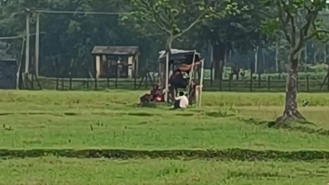 লালমনিরহাটে ৩৩ জনকে পুশ ইনের চেষ্টা